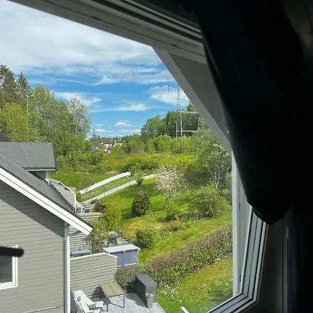 Loftroom In Townhouse Oslo 1 Singel Bed 1 Double Bed Accommodatie bij particulieren